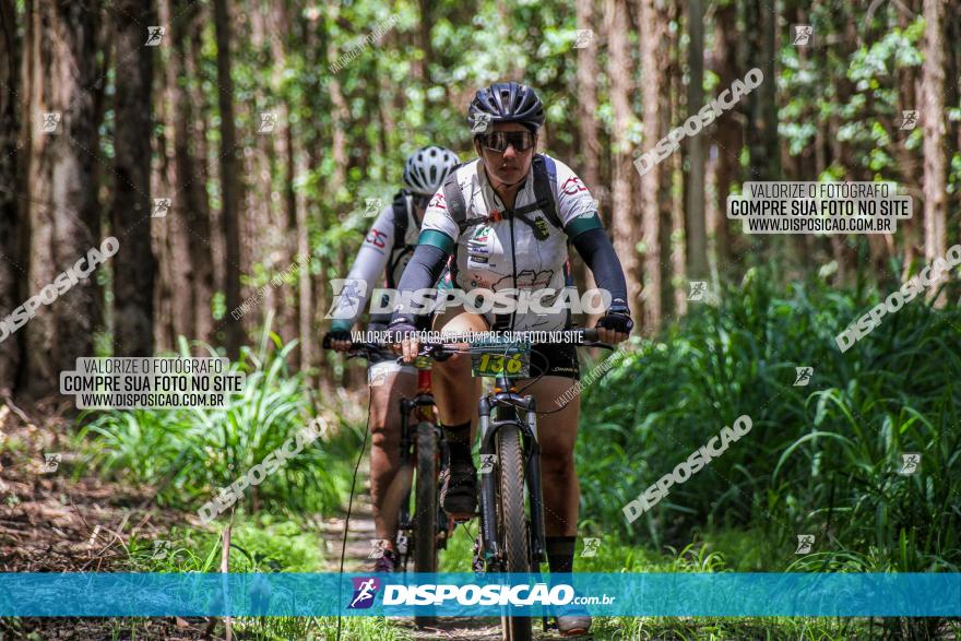 3° Desafio 100km de Terra