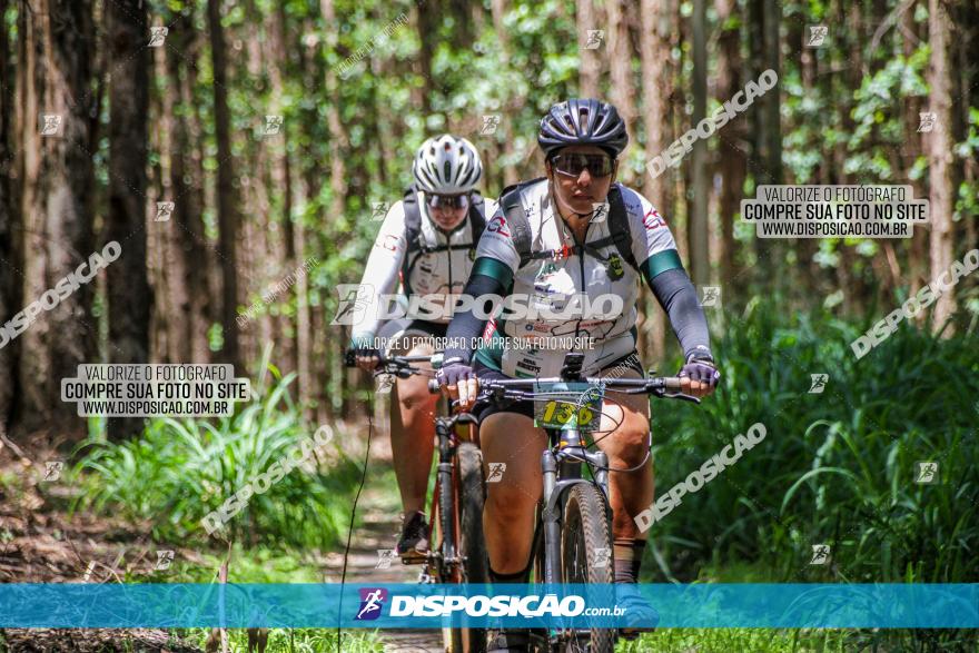 3° Desafio 100km de Terra