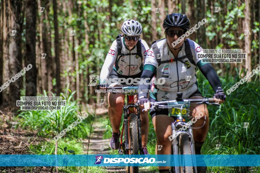 3° Desafio 100km de Terra