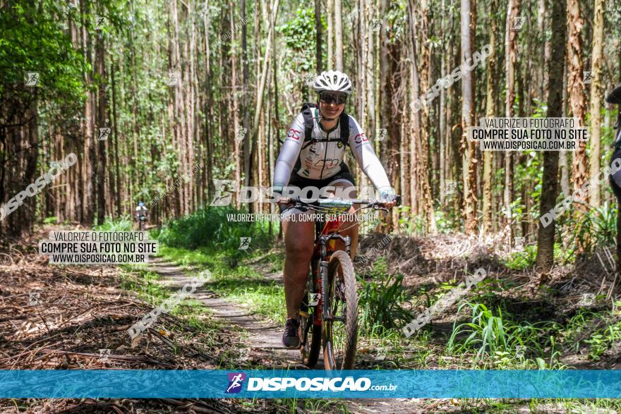 3° Desafio 100km de Terra