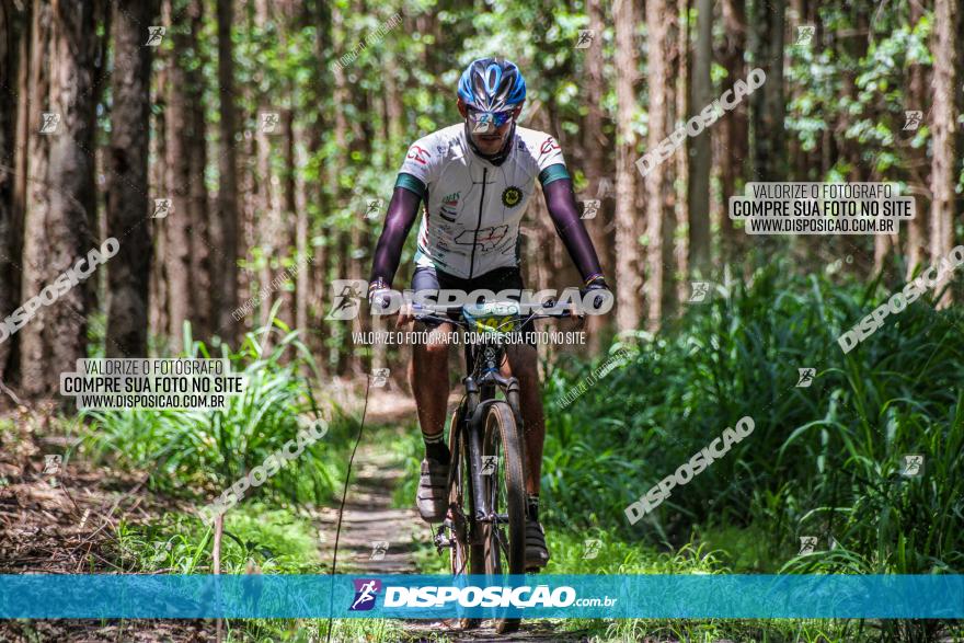 3° Desafio 100km de Terra