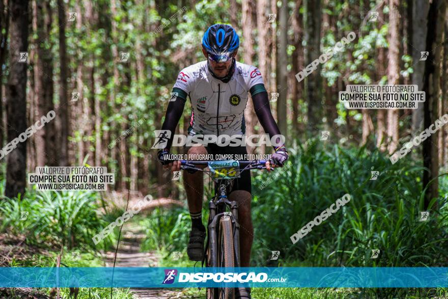 3° Desafio 100km de Terra