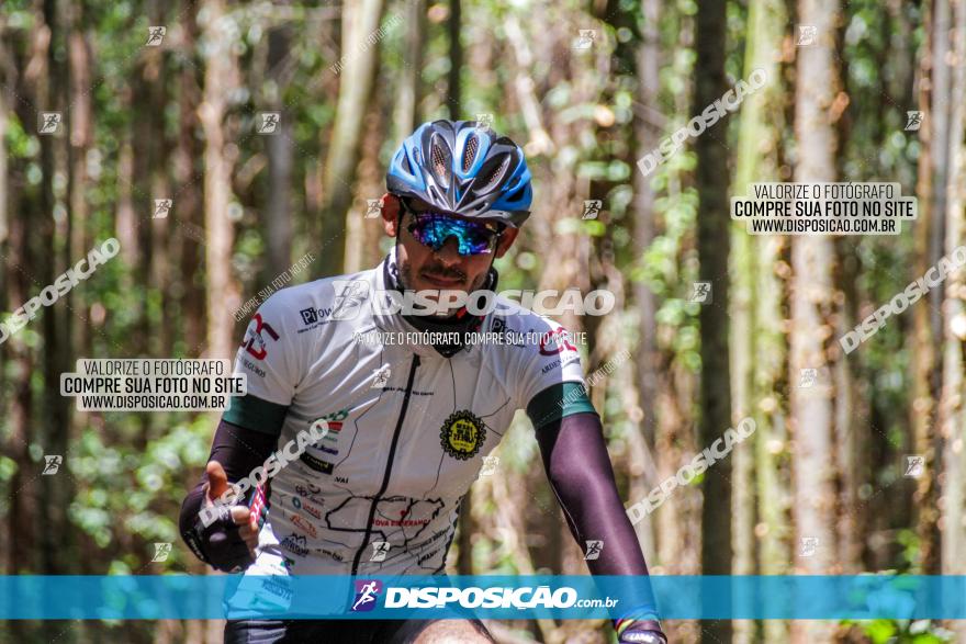 3° Desafio 100km de Terra