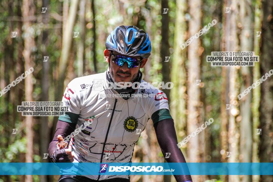 3° Desafio 100km de Terra