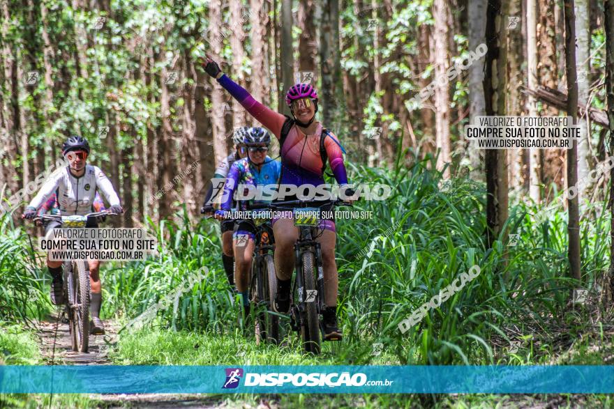 3° Desafio 100km de Terra