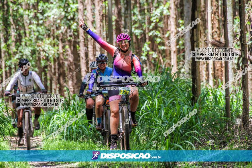 3° Desafio 100km de Terra