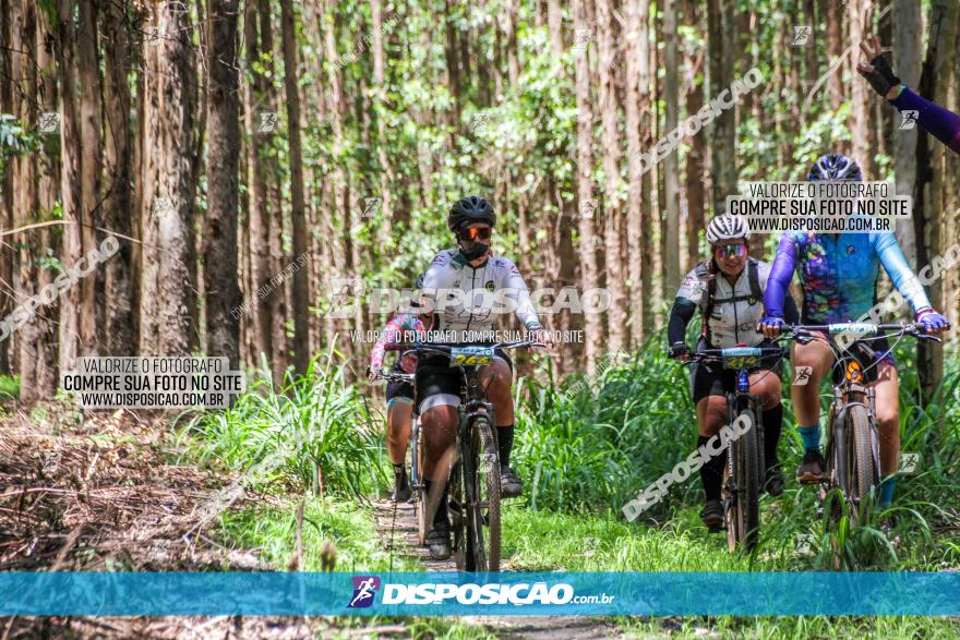 3° Desafio 100km de Terra