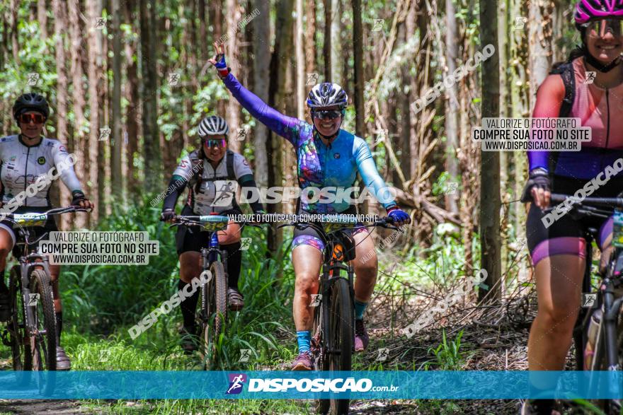 3° Desafio 100km de Terra