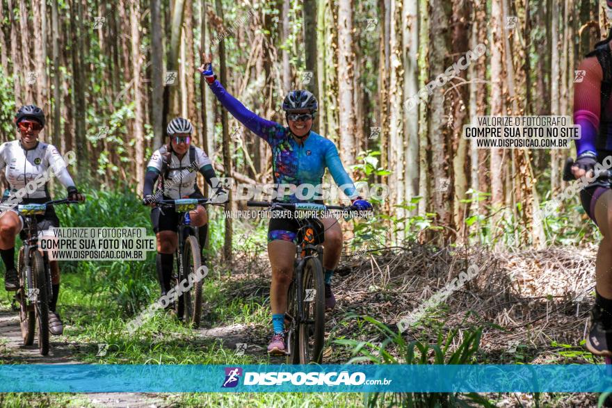 3° Desafio 100km de Terra