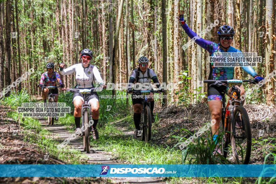 3° Desafio 100km de Terra