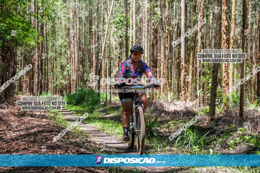 3° Desafio 100km de Terra