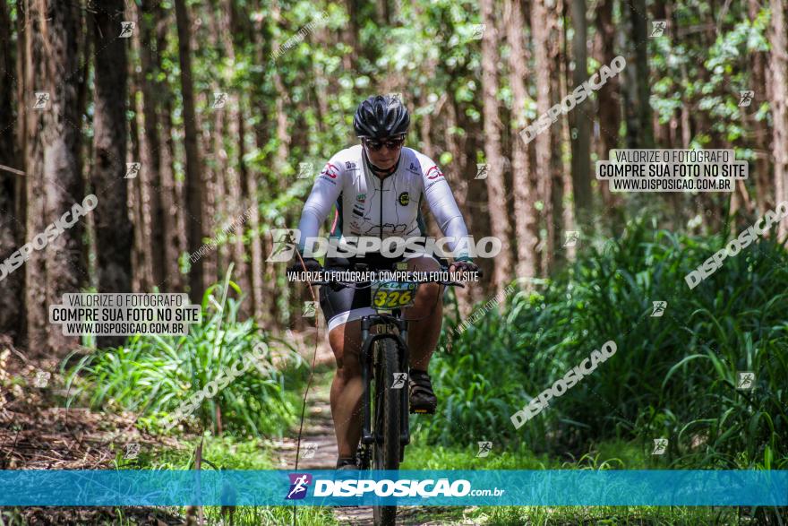 3° Desafio 100km de Terra