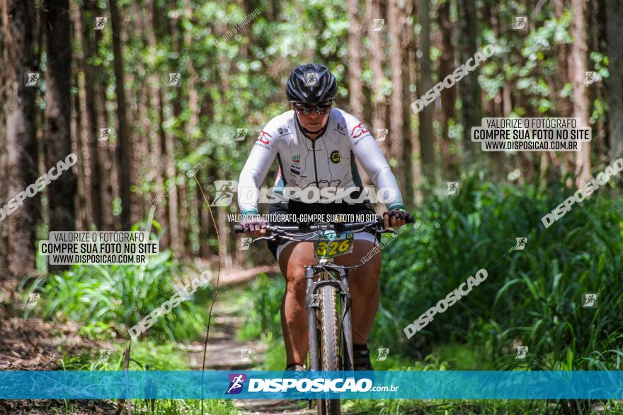 3° Desafio 100km de Terra