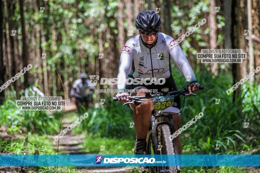 3° Desafio 100km de Terra