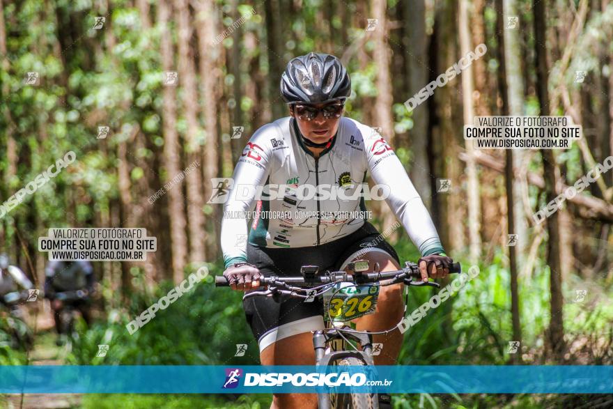 3° Desafio 100km de Terra