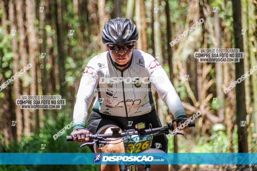 3° Desafio 100km de Terra