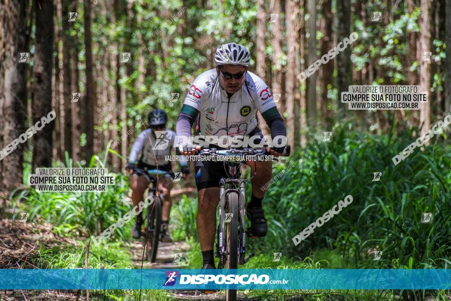 3° Desafio 100km de Terra