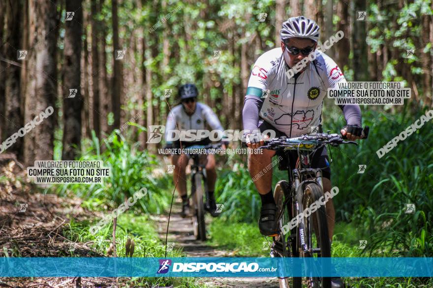 3° Desafio 100km de Terra