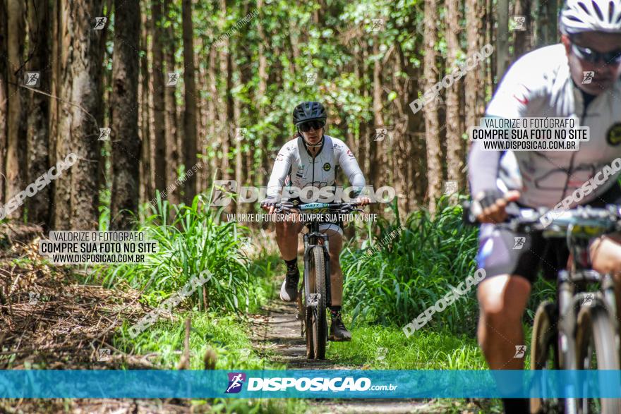 3° Desafio 100km de Terra