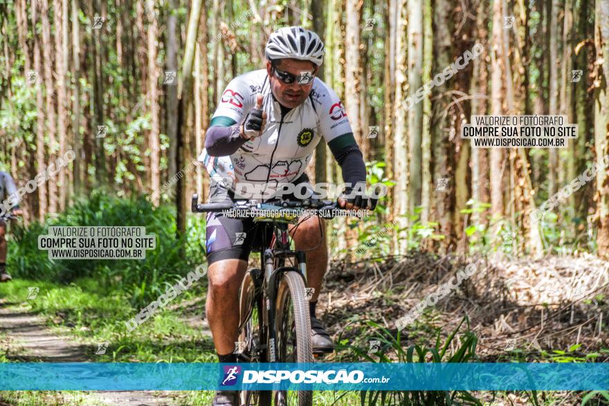 3° Desafio 100km de Terra