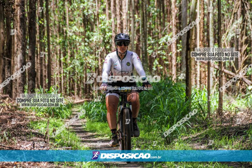 3° Desafio 100km de Terra