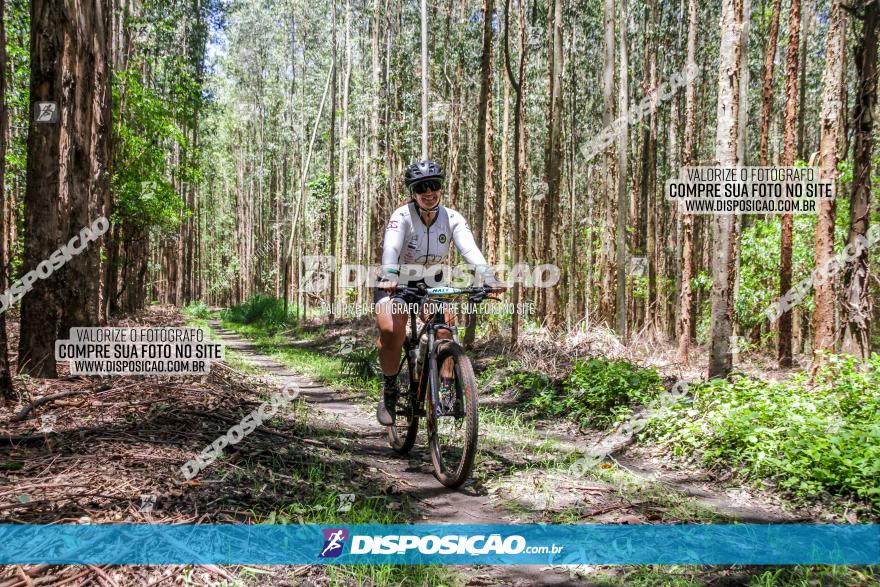 3° Desafio 100km de Terra