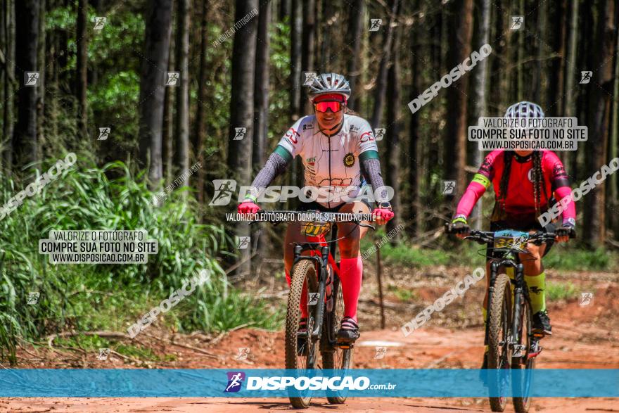 3° Desafio 100km de Terra