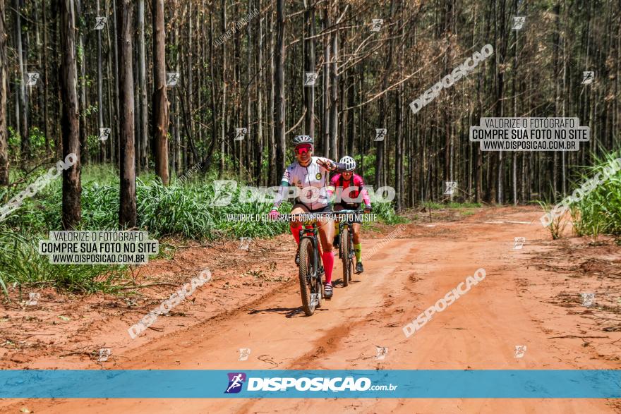 3° Desafio 100km de Terra