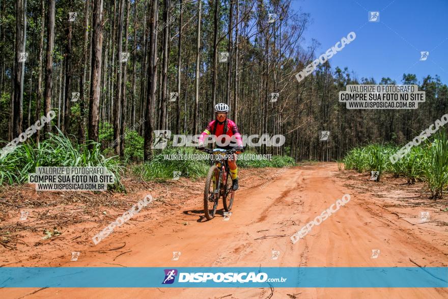 3° Desafio 100km de Terra