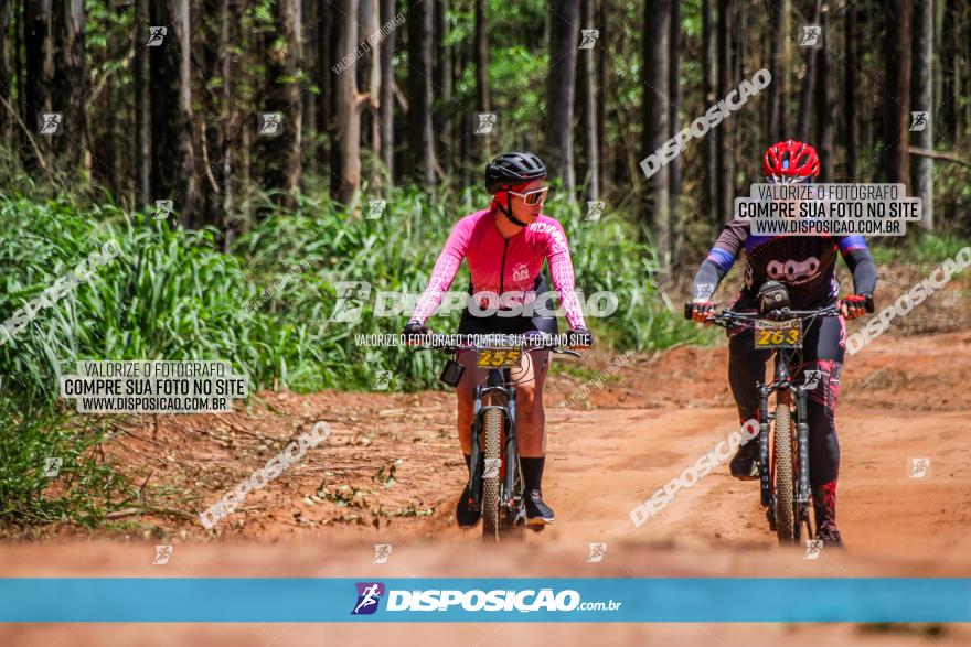 3° Desafio 100km de Terra