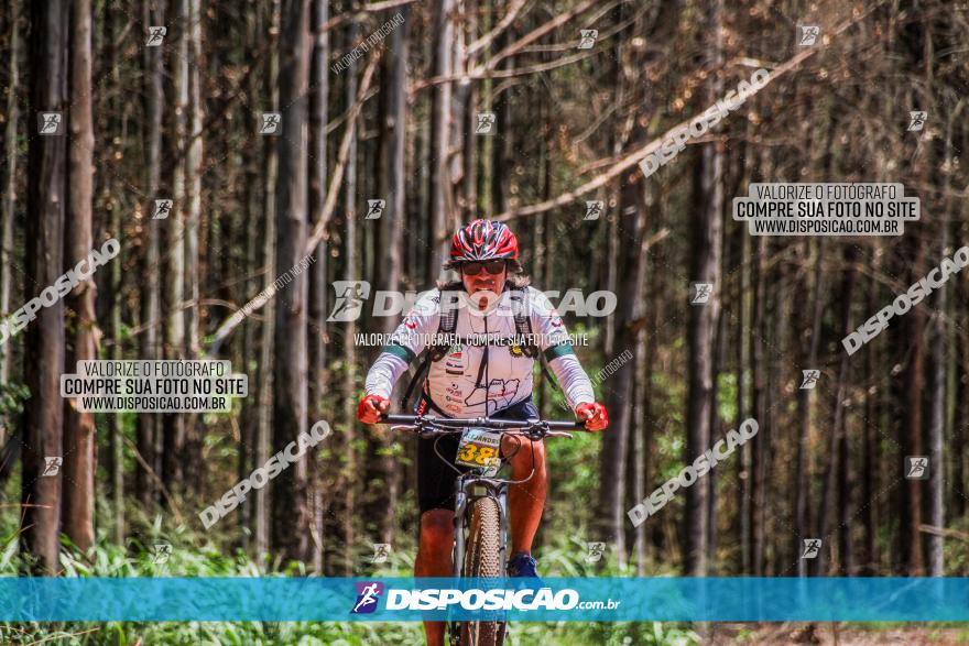 3° Desafio 100km de Terra