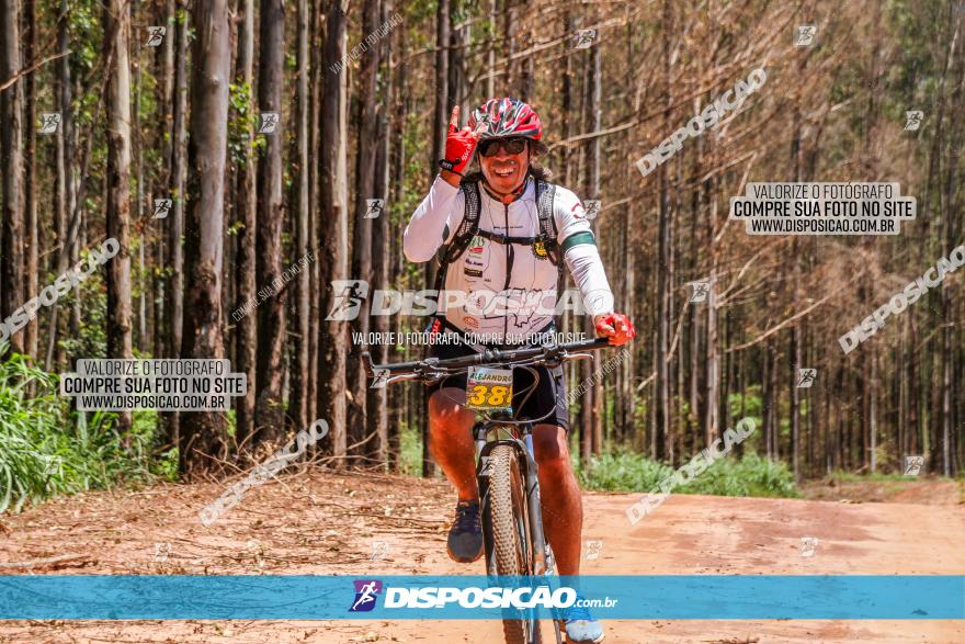 3° Desafio 100km de Terra