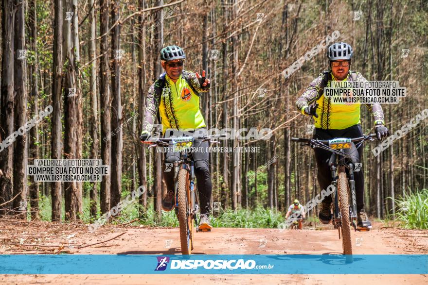 3° Desafio 100km de Terra