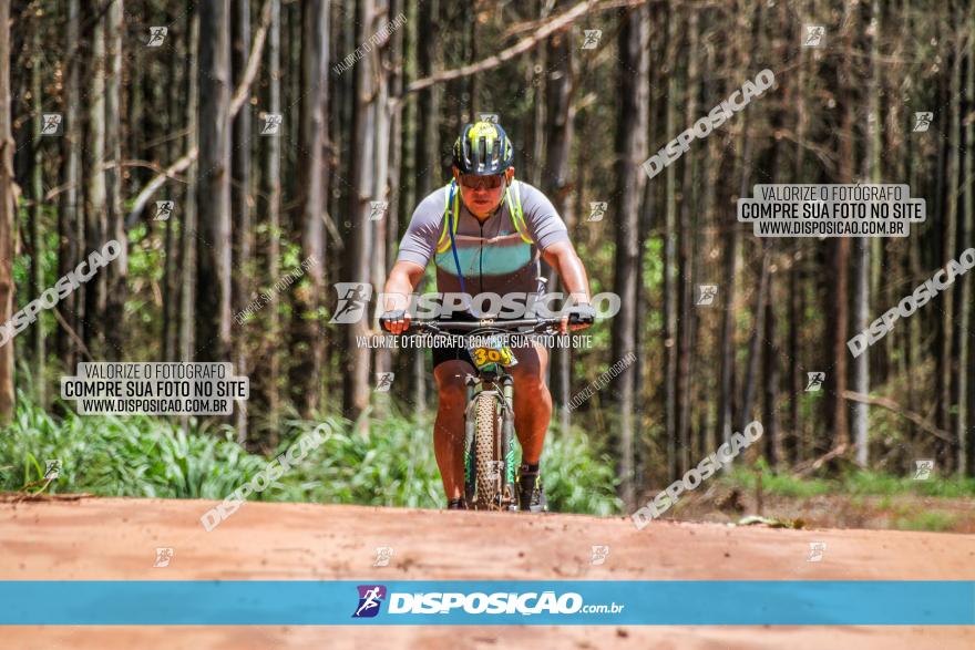 3° Desafio 100km de Terra