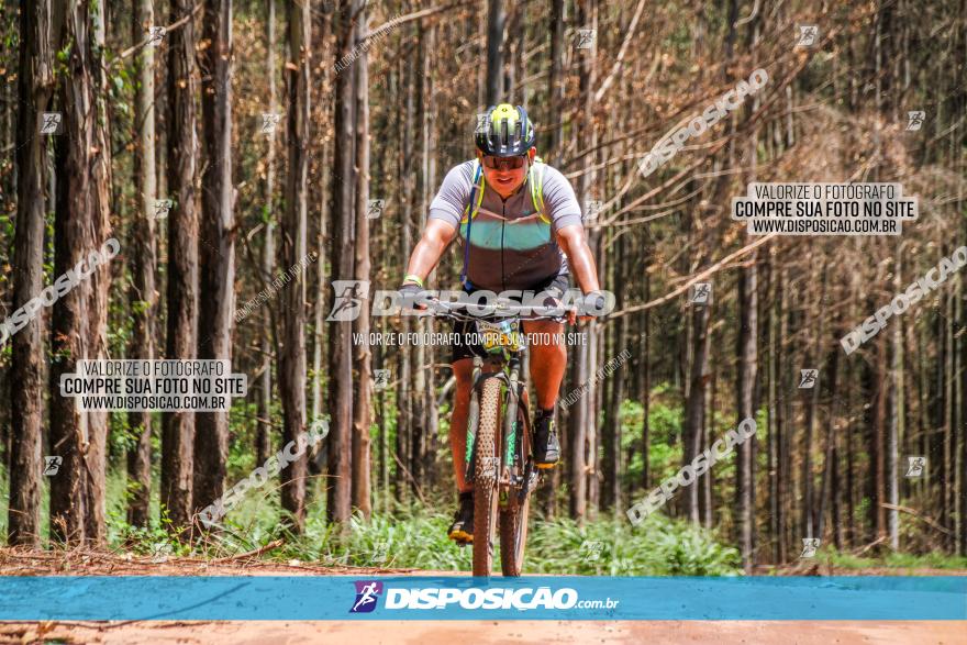 3° Desafio 100km de Terra