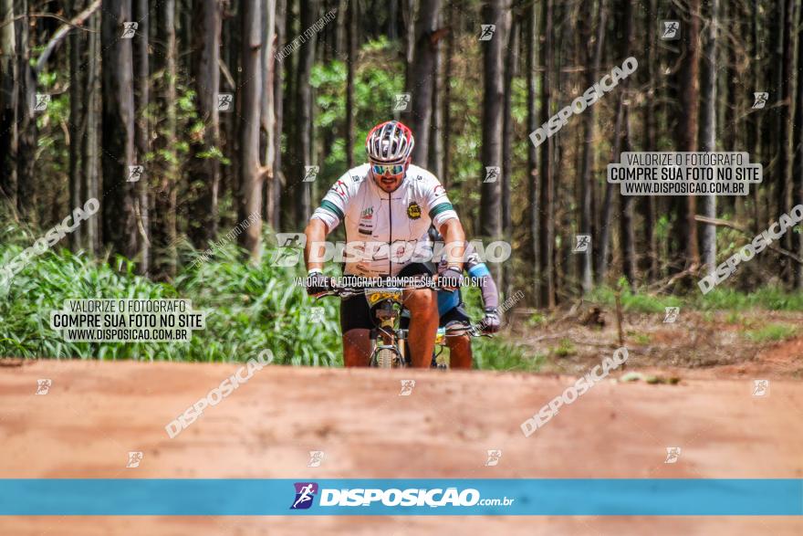 3° Desafio 100km de Terra