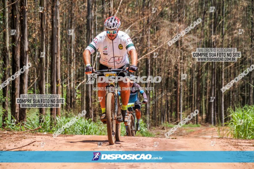 3° Desafio 100km de Terra