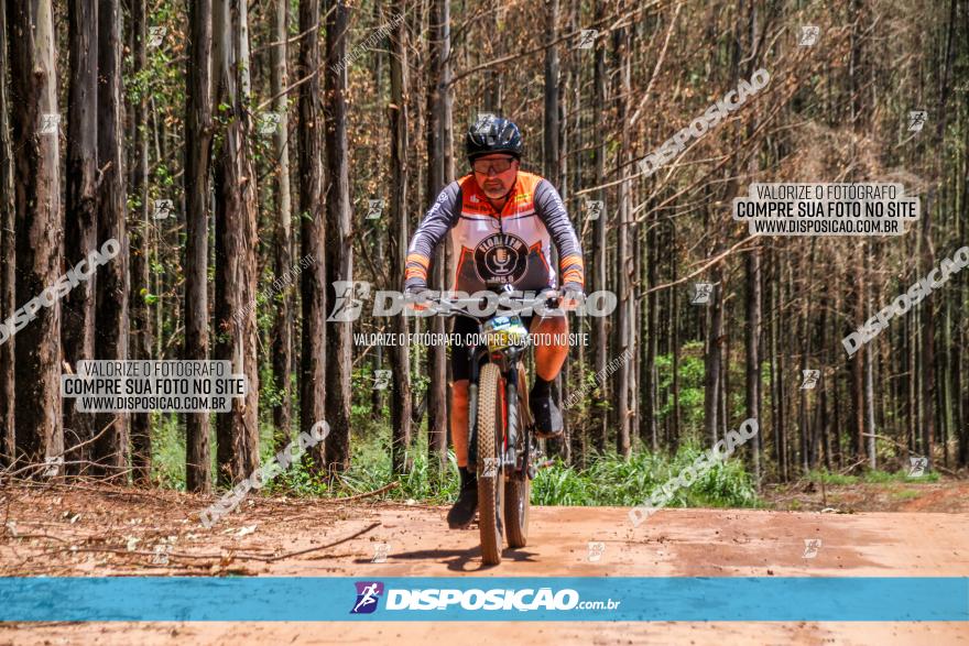 3° Desafio 100km de Terra