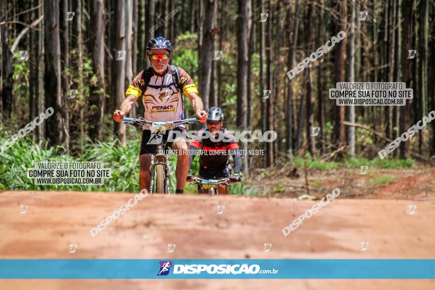 3° Desafio 100km de Terra