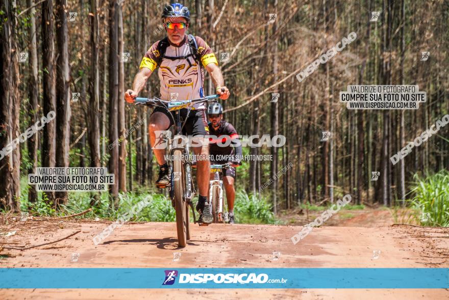 3° Desafio 100km de Terra