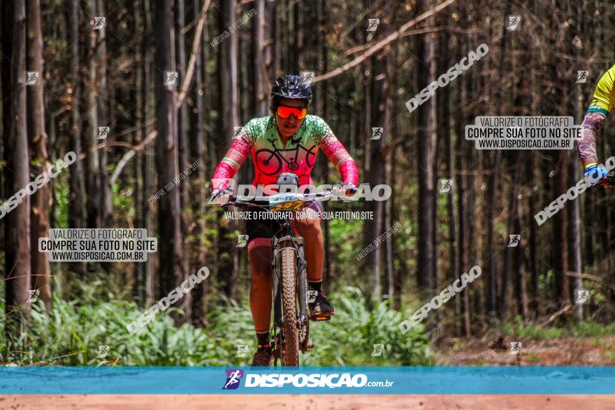 3° Desafio 100km de Terra