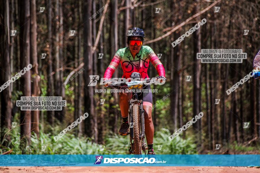 3° Desafio 100km de Terra