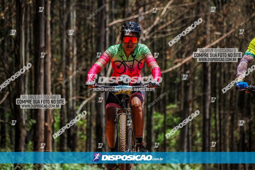 3° Desafio 100km de Terra