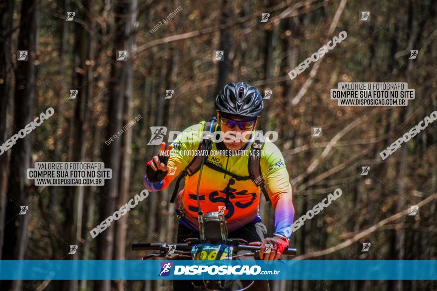 3° Desafio 100km de Terra