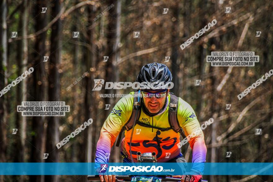 3° Desafio 100km de Terra