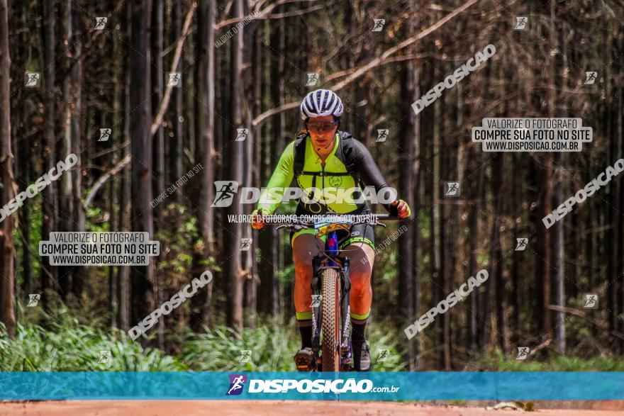 3° Desafio 100km de Terra