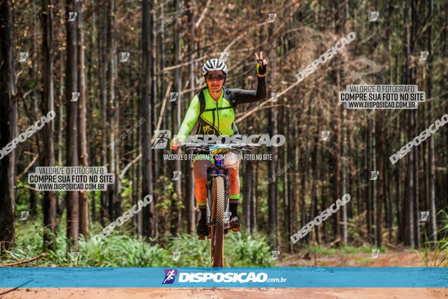 3° Desafio 100km de Terra