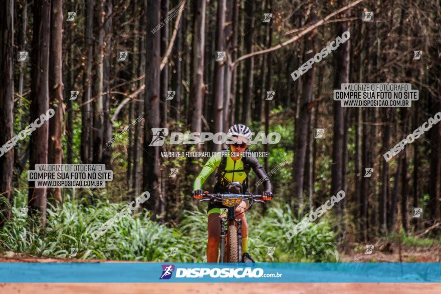 3° Desafio 100km de Terra