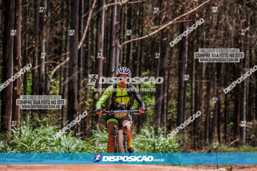 3° Desafio 100km de Terra