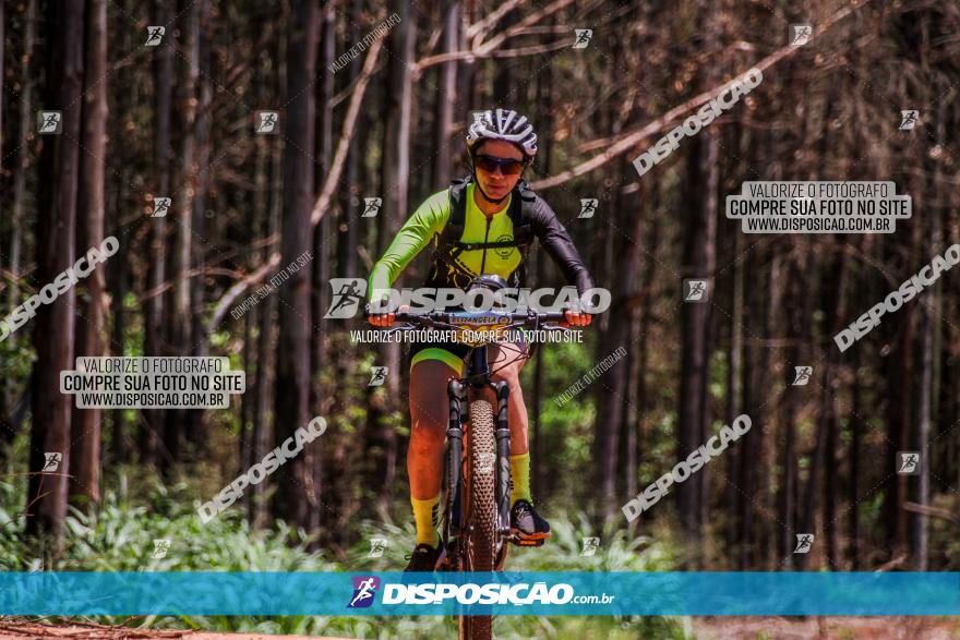 3° Desafio 100km de Terra